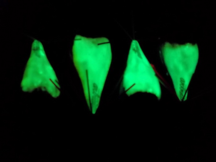artraido glow in the dark ชุดที่ 2 ฝากติชมด้วยนะครับ