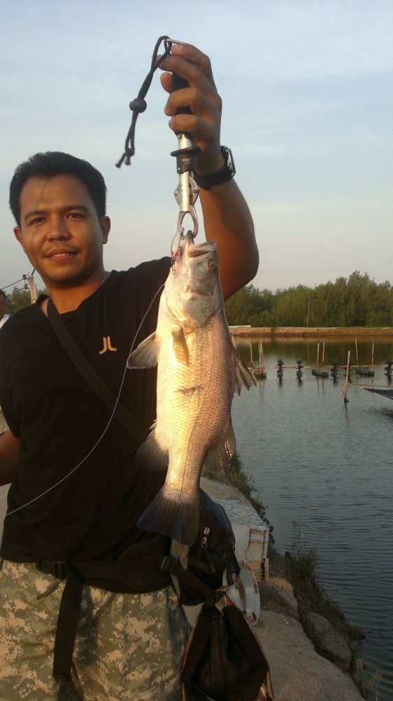......หากับข้าว....