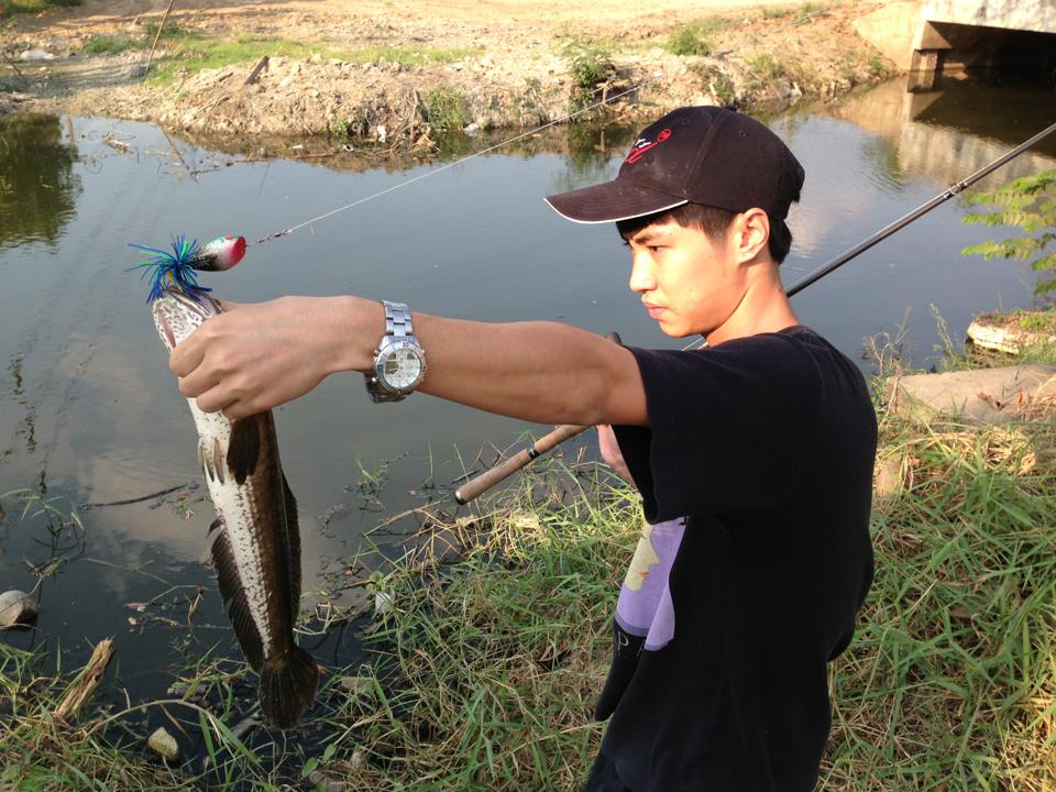 กบซุปตาร์เกิดมาเพื่อปราบปลาช่อนจิงๆๆนะจ๊ะจะบอกให้