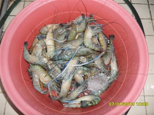 กุ้งอบซอสแซ่บ