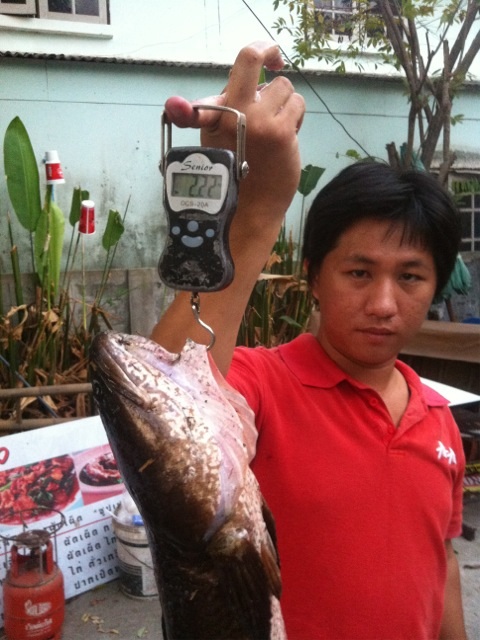 Texas ปลาตอง (ผลงานน้องชาย)