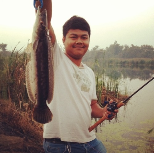 ชะโด>>>สุพรรณ<<< นิดหน่อย