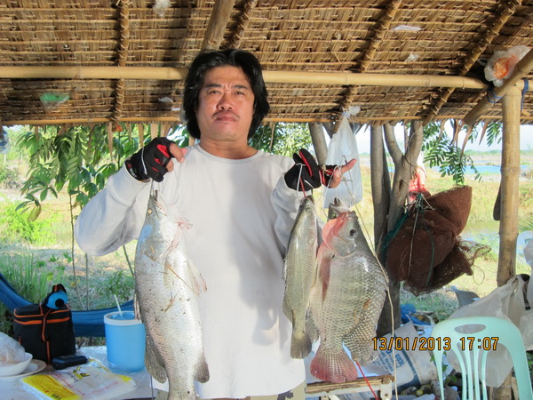 บ่อตกปลาน้องพลอย2 เปิด อาทิตย์ที่ 13 มกราคม 2556
