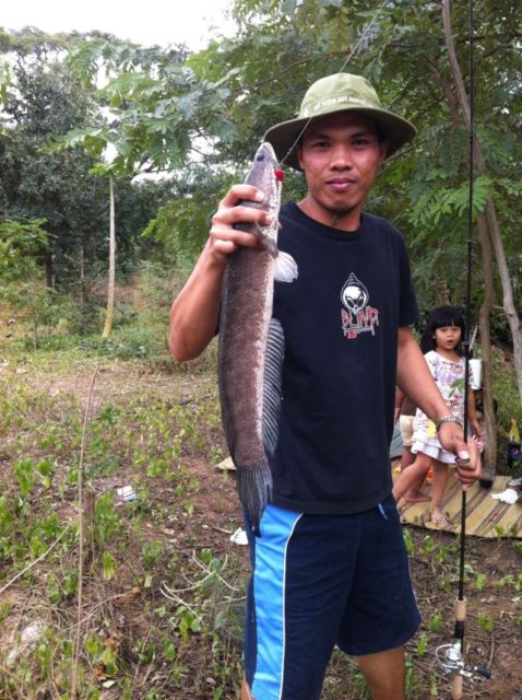ช่อน กระสูบ ขอนแก่น