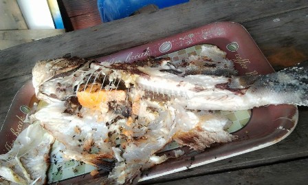ตกปลากับ คนหลังคัน