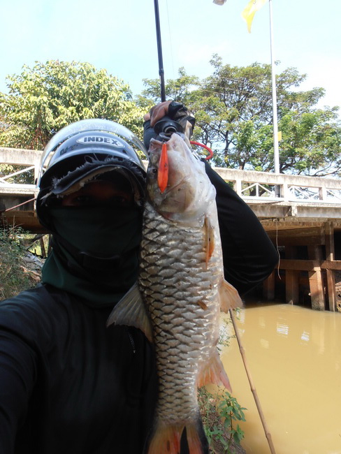 กระสูบแม่น้ำ
