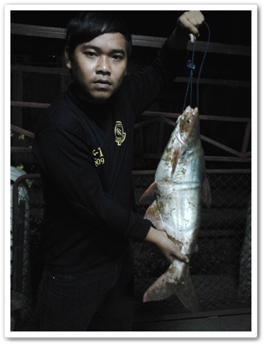 มือใหม่ขอโชว์ 2ทุ่มถึงเที่ยงคืน  ภาค 3