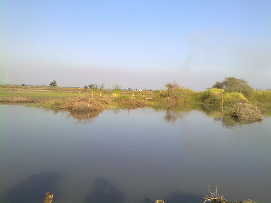 เก็บตก