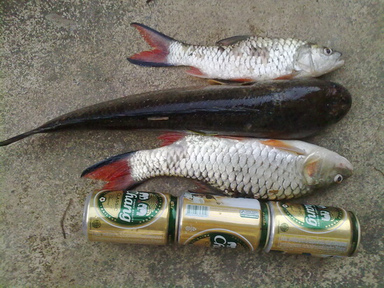 เก็บตก