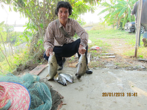 สดๆๆจากบ่อน้องพลอย1