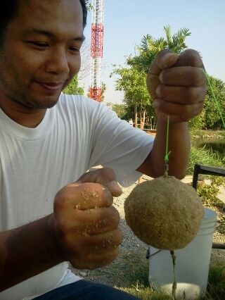 รวมๆละกัน บึงบึก วัชรพล