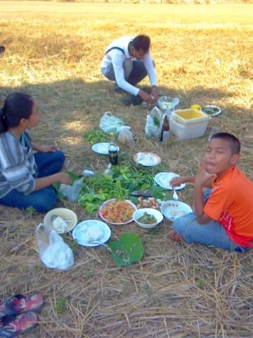 หาปลา กินข้าวป่า สไตล์อีสานบ้านเฮา