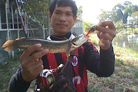 ปลาตัวแรก ปีนี้ 20/1/2013