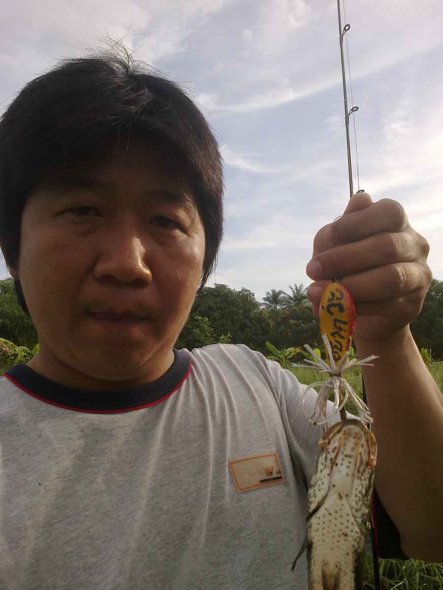 กบหลังแอ่นทำเอง งับๆบายน้าตี๋Korat