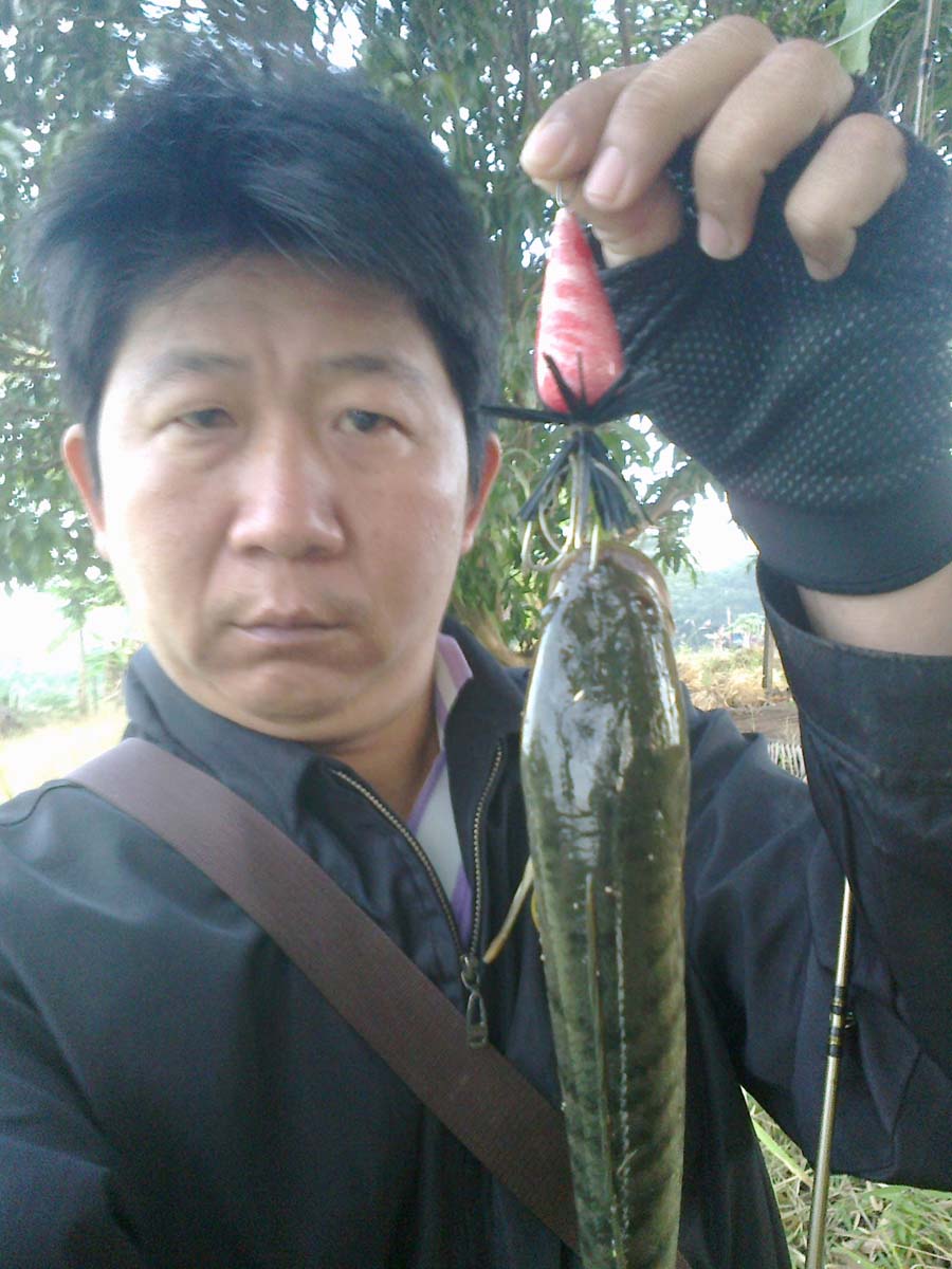 บึงบัวแก่นท้าวเขตติดต่อสูงเนินสีคิ้ว งับๆ บายน้าตี๋คับ