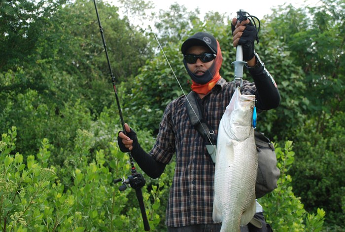 FIGHTING BARRAMUNDI  PART II  