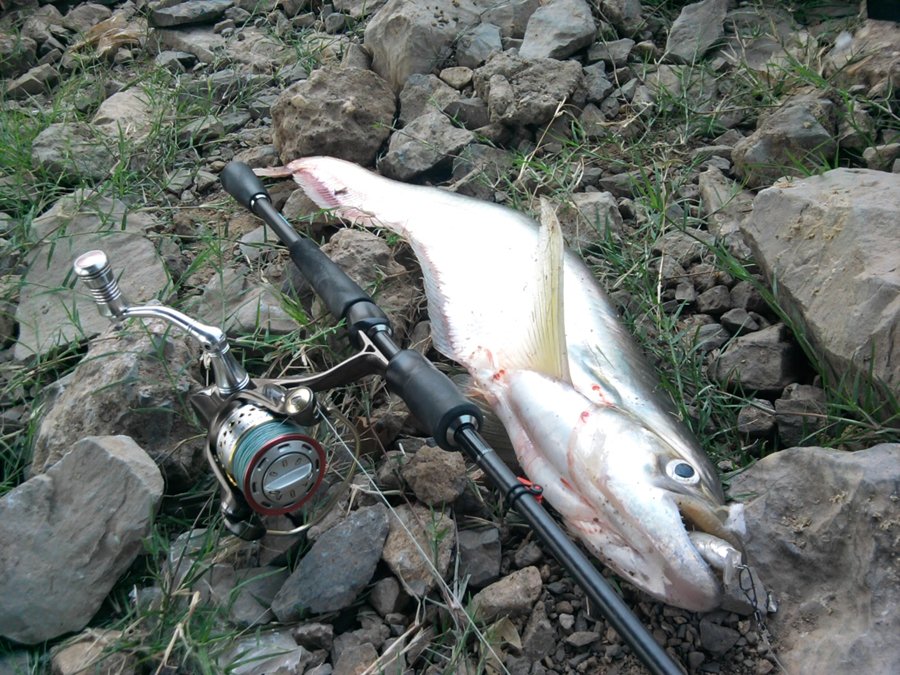 .....ตีกระสูบ " โดนเบี้ยว " เสียวค้าว " สบายๆ Style เจ้าพระยา " มันส์ๆๆ....