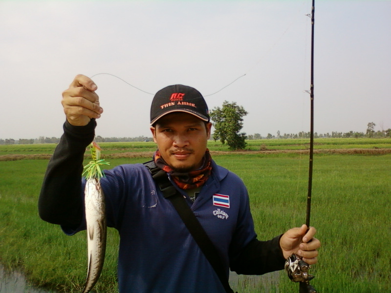 ไปไหนดี?