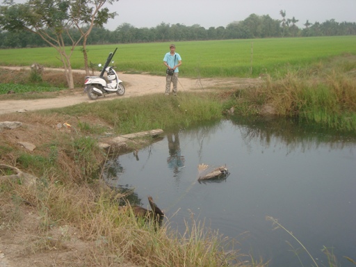 @สุพรรณบุรี กบยาง RC ตะลุยช่อนคลอง (อีกแล้ว)