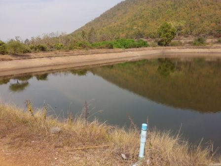 ตีสปูลอยู่ดีๆปรากฎว่า....