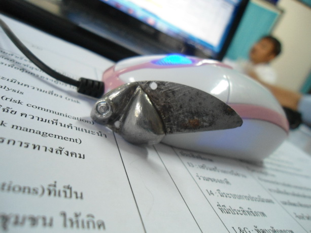 กระดี่ดุ๊ยดุุ่ย แผลงฤทธิ์ เสาร์ อาทิตย์ จัดเต็ม