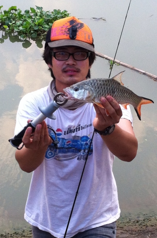นิดหน่อยกับวันหยุด