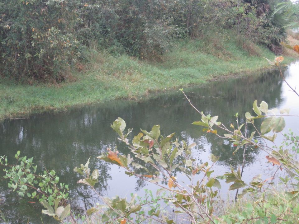 ปลาด่านฯ