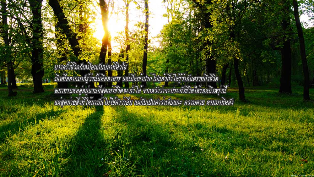 คำคมนักตกปลาครั้งที่ 29