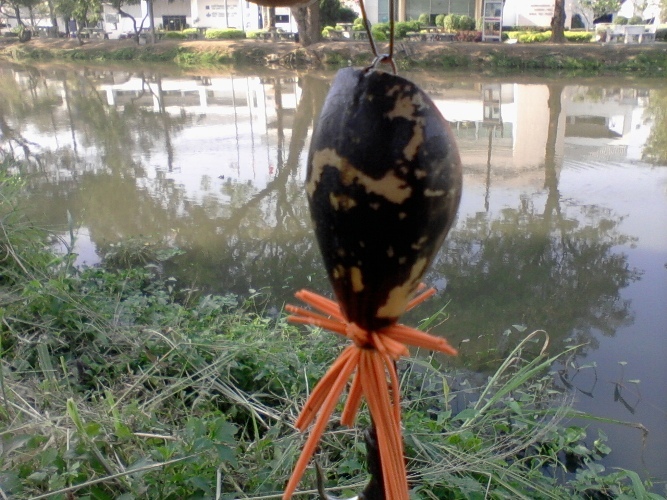 วันละหน่อย