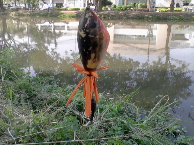 วันละหน่อย