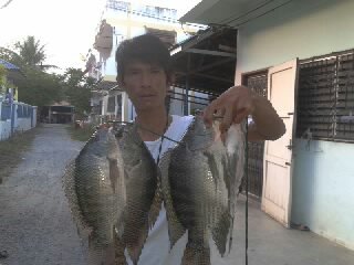   1  ซ.ม. กับนิลใหญ่