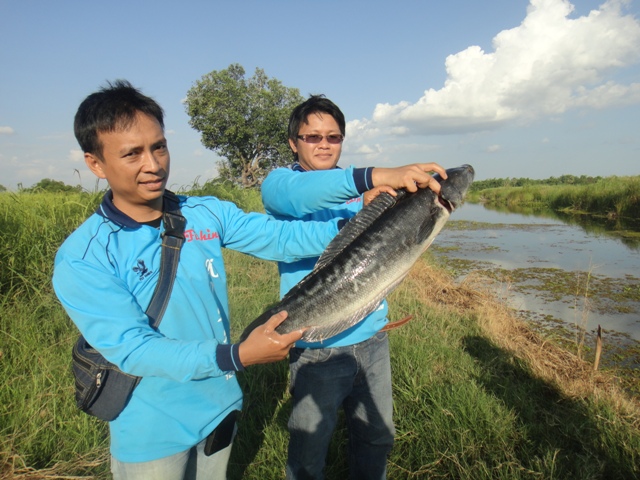 ...ภาพรวม ปี 2555ครับ@โคราช...