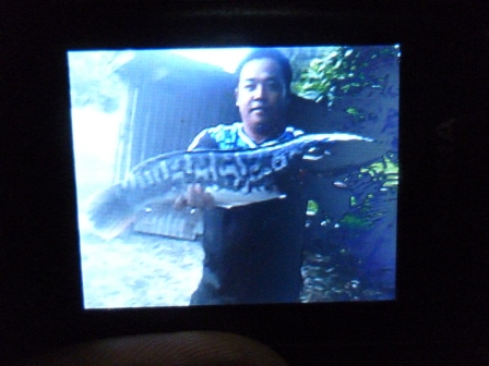 ...ภาพรวม ปี 2555ครับ@โคราช...