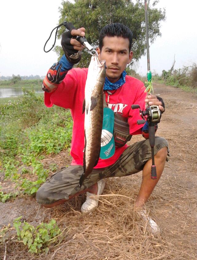 เกือบเต็มกะชัง(หมายเดิมสาธารณะ)