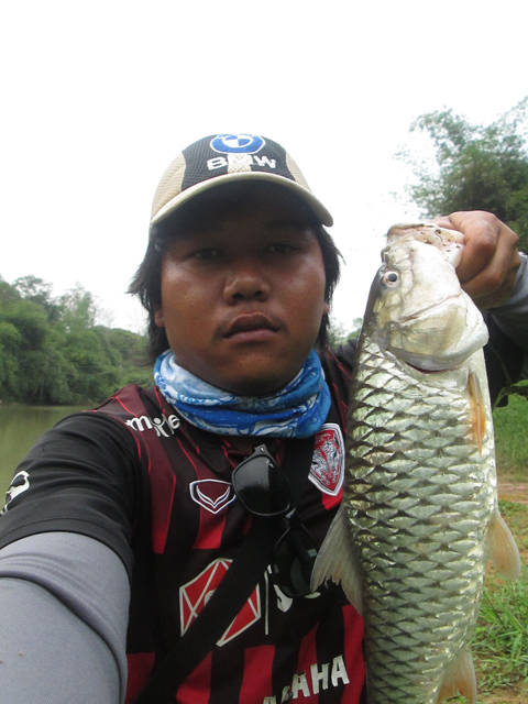 ตามล่าราชินีเกล็ดเงิน ที่ ฝายน้ำล้นคลองประแสร์