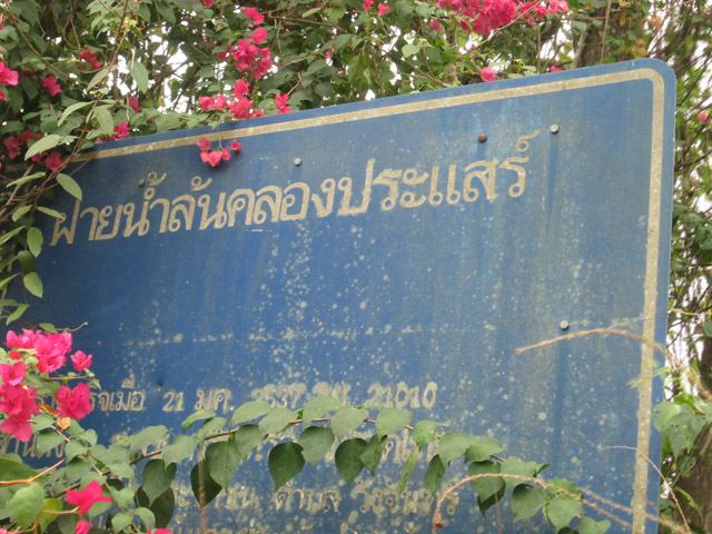ตามล่าราชินีเกล็ดเงิน ที่ ฝายน้ำล้นคลองประแสร์