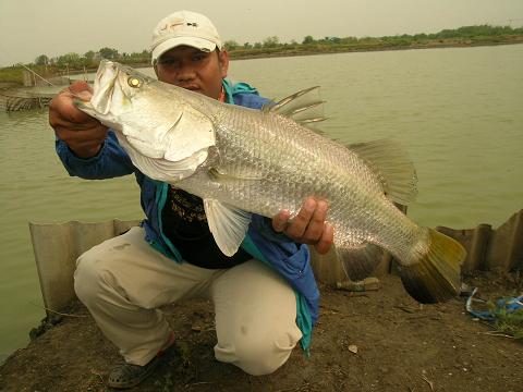 10-02-56สะดุดเอ็นจัดทริพแทนบ่อเดิมที่ยกเลิกไป