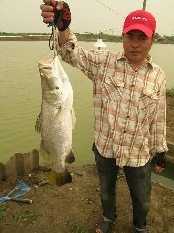 10-02-56สะดุดเอ็นจัดทริพแทนบ่อเดิมที่ยกเลิกไป