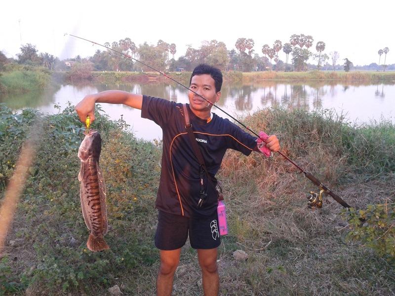 ชะโดตัวแรกในชีวิต ตื่นเต้นๆ