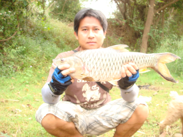 ตกปลาคือยาวิเศษ