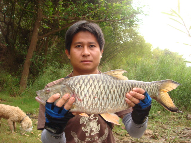 ตกปลาคือยาวิเศษ