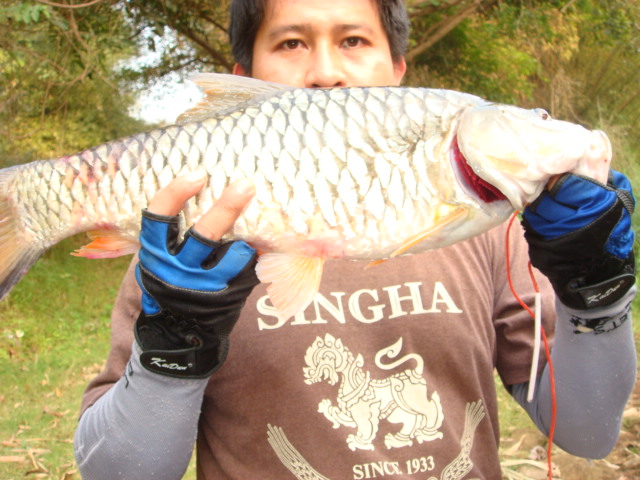 ตกปลาคือยาวิเศษ
