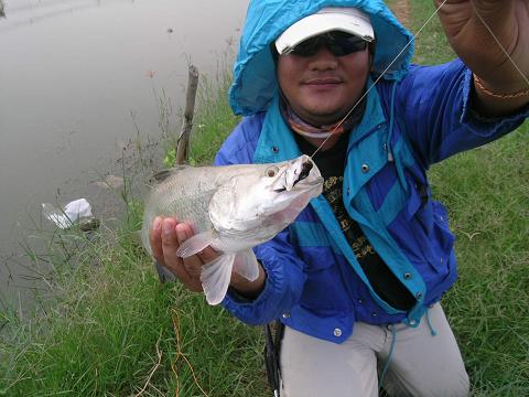 ครั้งแรกกับทริพ FLY FISHING ONLY กระพงบ่อซิง