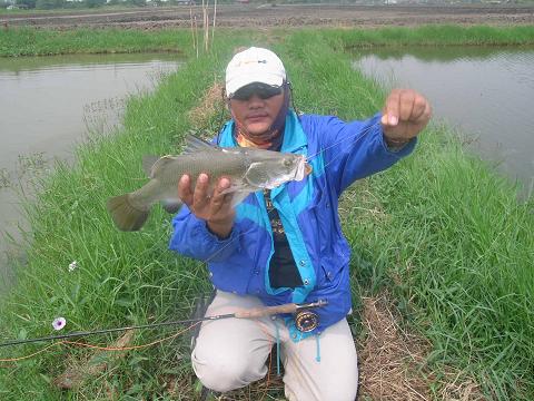 ครั้งแรกกับทริพ FLY FISHING ONLY กระพงบ่อซิง