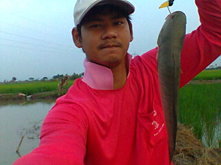 นานๆที