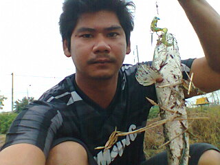 นานๆที