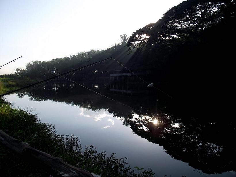 สวายแม่น้ำหาดใหญ่..โชร์มั่ง..อิอิ