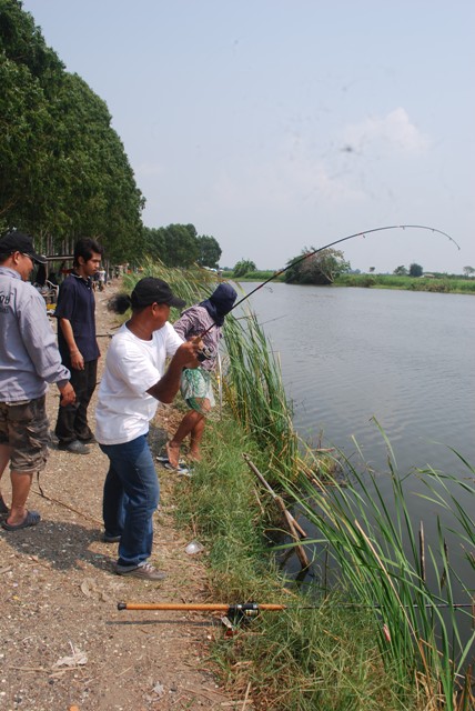 บ่อหนุมบางวัว ( บ่อปลารวม ) วันเสาร์ที่ 9/02/2013