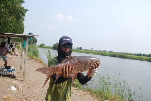 บ่อหนุมบางวัว ( บ่อปลารวม ) วันเสาร์ที่ 9/02/2013