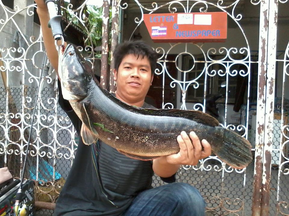 ฝากผลงาน รวมๆ ณ.เจ้าพระยาครับ